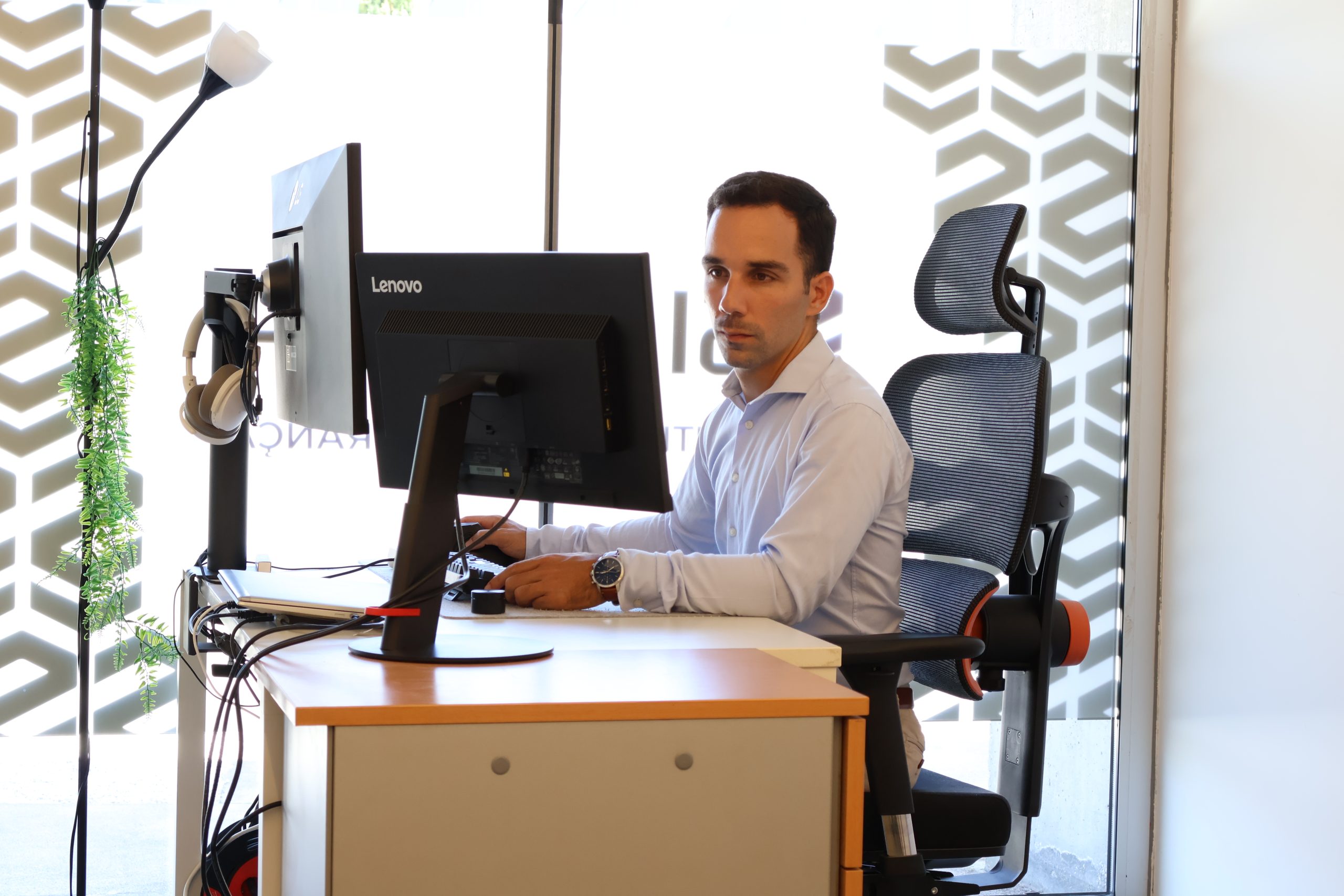 disruptive cat - sigadata