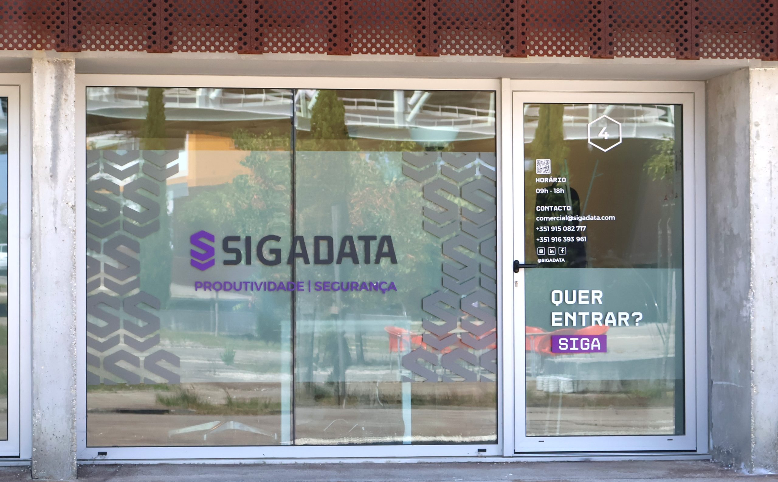 Disruptive Cat - Sigadata